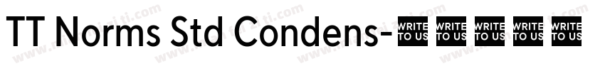 TT Norms Std Condens字体转换